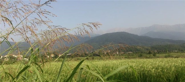 ماچیان رودسر