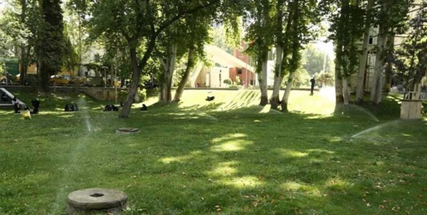 دانشگاه الزهرا