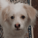 تصویر نمایه‌ی ‌مهدی(هنوززز بدون اینترنت)‌