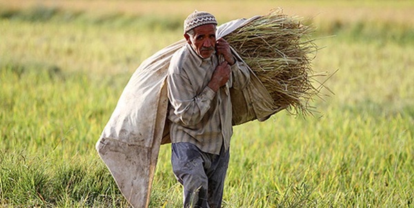 کشاورز