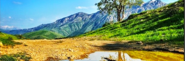 تصویر سربرگ نمایه‌ی ‌کورش مرادی‌