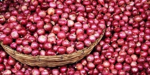 پیاز