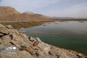 زندگیِ دوباره «دِهنو»