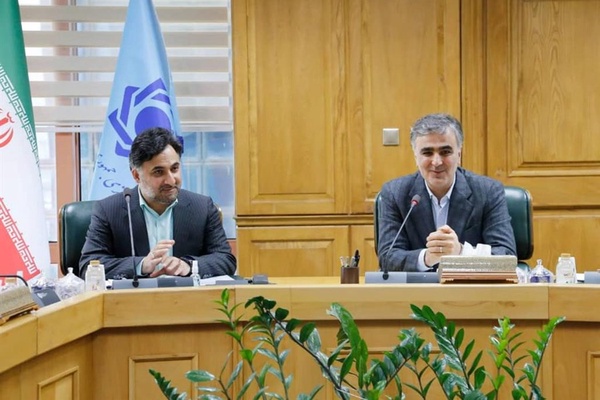 فرزین