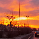 تصویر نمایه‌ی ‌مجید مصطفوی‌