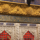 تصویر نمایه‌ی ‌زهره کرمی‌