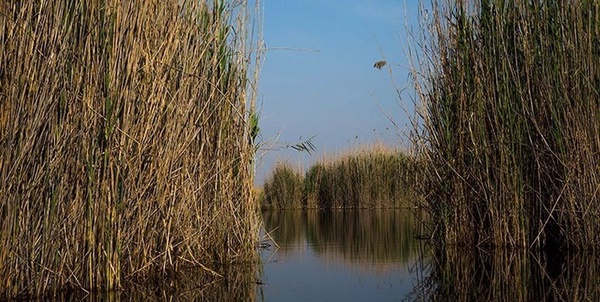 هورالعظیم 