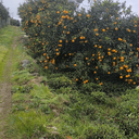 تصویر نمایه‌ی ‌ماریا کیا‌