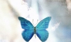 فرشته پروانه