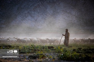 طبیعت «دشت لار»