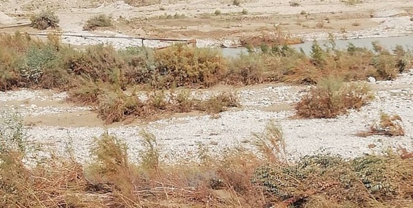 تت