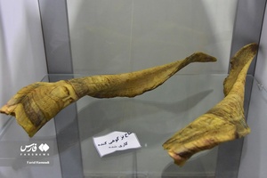 شاخ بزکوهی کنده کاری شده 