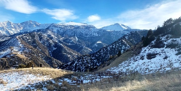 کوه های زامین