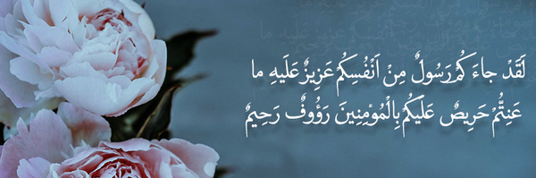 تصویر سربرگ نمایه‌ی ‌صنوبر خجسته‌