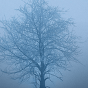 تصویر نمایه‌ی ‌فاطمه‌