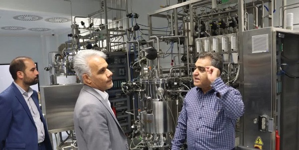 بازدید