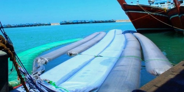 مشک ماری2