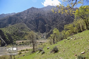 روز طبیعت در آبشار «دره عشق»