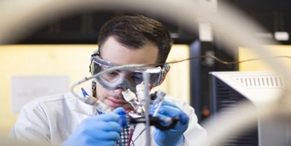 علوم شناختی