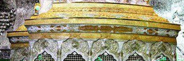 تصویر سربرگ نمایه‌ی ‌9**5585‌