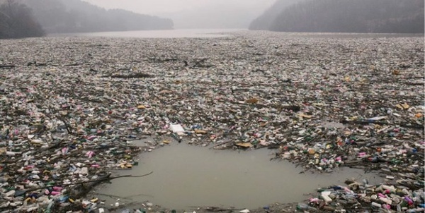 عکس های برگزیده 2021