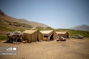 همه عشایر منطقه دشت لار در چادر زندگی می کنند
