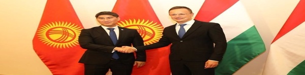 وزیر