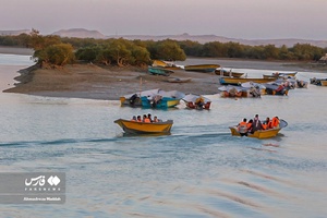 جنگل حَرّا؛ یکی از «عجایب هفتگانه قشم»