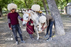 کاروان اسب‌داران حرم‌ تا حرم خراسان‌شمالی به سوی آستان رضوی رهسپار شدند