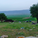 تصویر نمایه‌ی ‌موعود محمدی‌