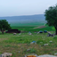 تصویر نمایه‌ی ‌موعود محمدی‌