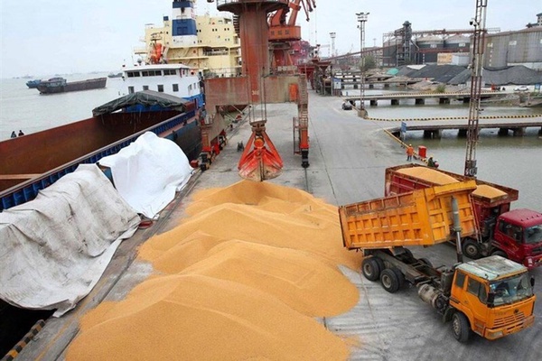 کالای اساسی بندر امام