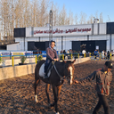 تصویر نمایه‌ی ‌محمدعلی کوثرمدار‌