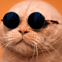 تصویر نمایه‌ی ‌استاد میتی کومون و زومبه‌