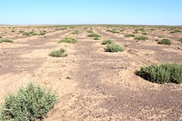 بیابان