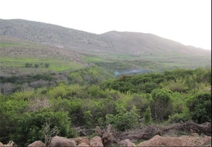 گردشگری
