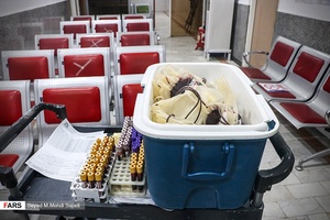 نذر خون شب ۲۳ رمضان در بوشهر