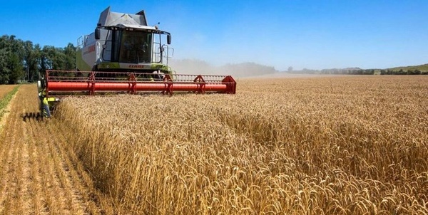 کشت کشاورزی