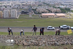 کوه نویسی