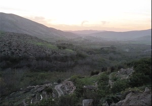 گردشگری