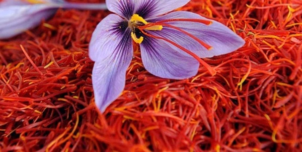 زعفران