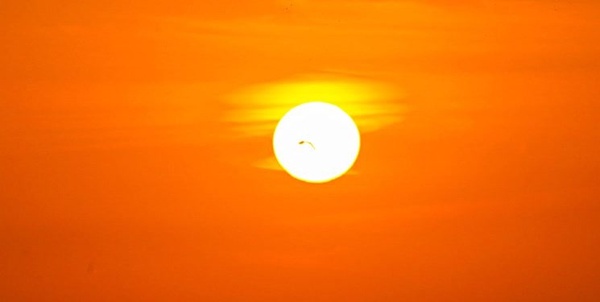 طلوع