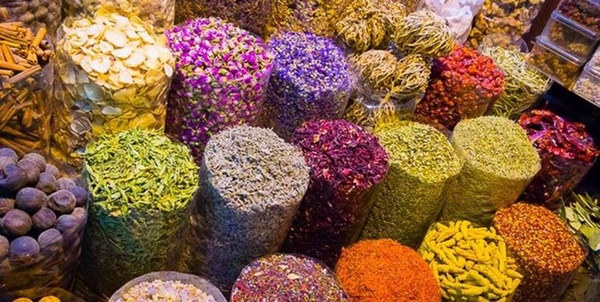 گیاه دارویی2