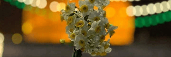تصویر سربرگ نمایه‌ی ‌مهدی رسولی‌