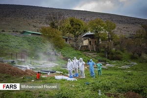 کرونا