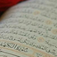 تصویر نمایه‌ی ‌شقایق‌