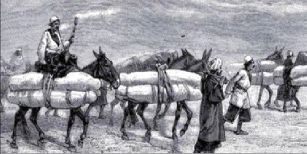 کربلا