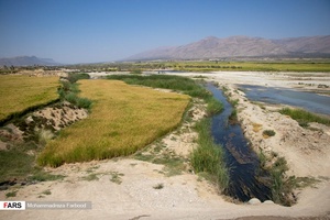 افزایش میزان زمین زیر کشت برنج از ۸ به ۳۴ هزارهکتار در چند سال اخیر، کاهش نرخ بارندگی استان فارس، عدم هماهنگی بین دستگاه های اجرایی، علل عمده، عدم ورود حق آبه تالاب ها است.