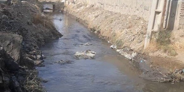 سیاه جوی