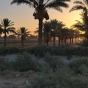 تصویر نمایه‌ی ‌داود معصومی‌